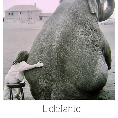 Elefante شقة بيسكارا